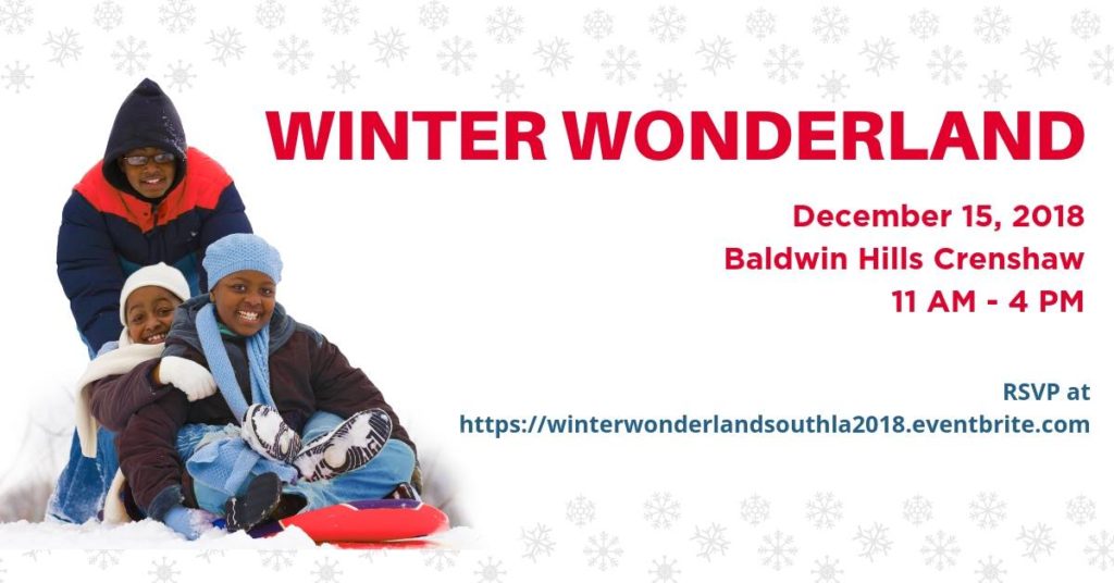 Winter Wonderland Flyer