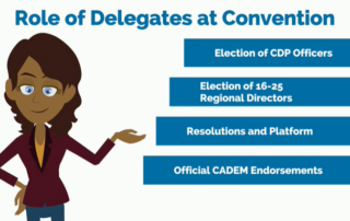 role of delegates at convention