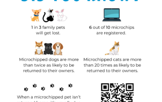 Microchip Your Pet