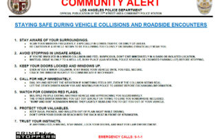 Vehicle collisions and roadside encounters