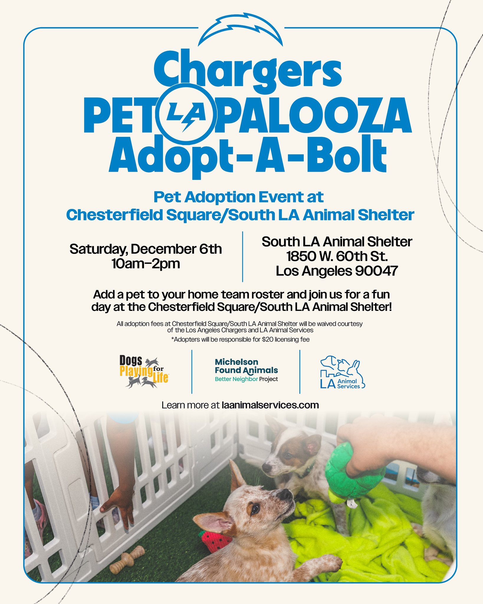 pet palooza