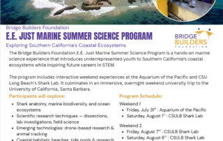 Marine Summer Science Program UCSB