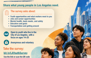 youth survey